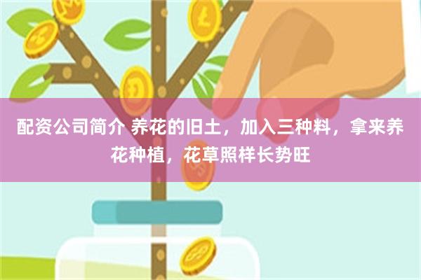 配资公司简介 养花的旧土，加入三种料，拿来养花种植，花草照样长势旺