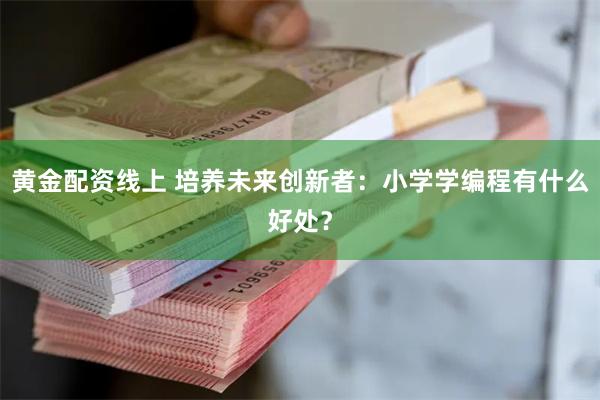 黄金配资线上 培养未来创新者：小学学编程有什么好处？