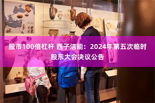 股市100倍杠杆 西子洁能：2024年第五次临时股东大会决议公告