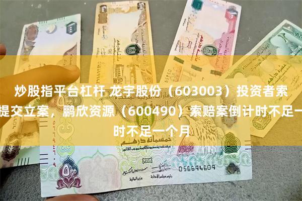 炒股指平台杠杆 龙宇股份（603003）投资者索赔再提交立案，鹏欣资源（600490）索赔案倒计时不足一个月