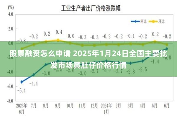 股票融资怎么申请 2025年1月24日全国主要批发市场黄肚仔价格行情