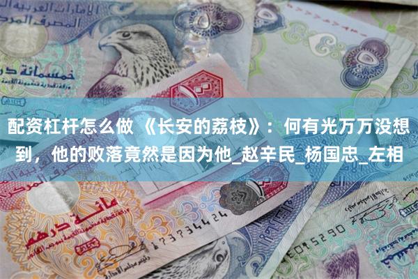 配资杠杆怎么做 《长安的荔枝》：何有光万万没想到，他的败落竟然是因为他_赵辛民_杨国忠_左相